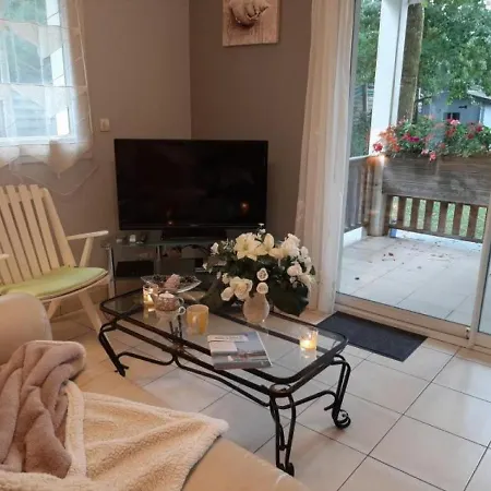 Apartamento Lanton, 2 Pieces, 2 Personnes - Fr-1-440-130