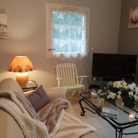 Lanton, 2 Pieces, 2 Personnes - Fr-1-440-130 Apartamento